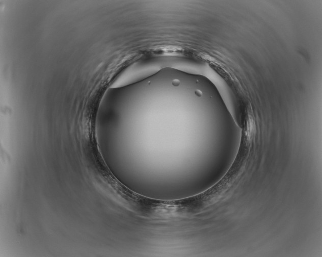 X0000091100227200708061426