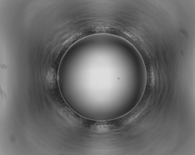 X0000091100228200708061426