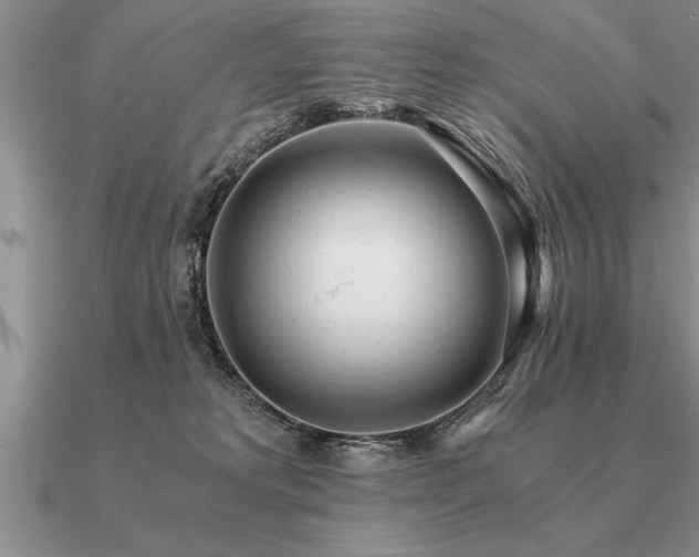 X0000091100229200708061426