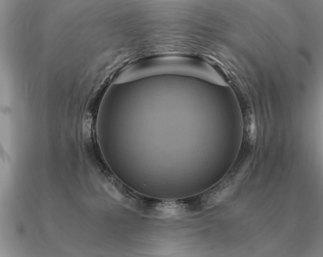 X0000091100231200708061426