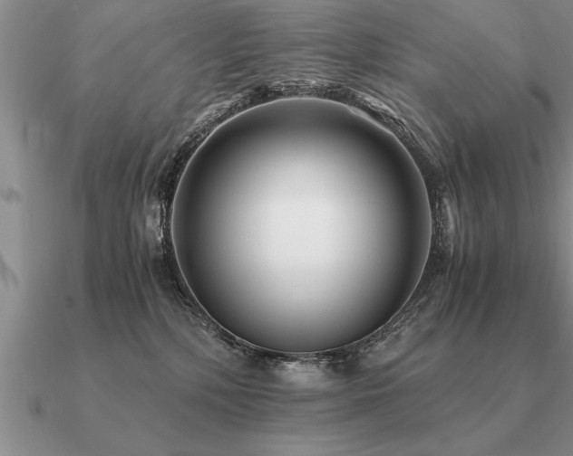 X0000091100232200708061426