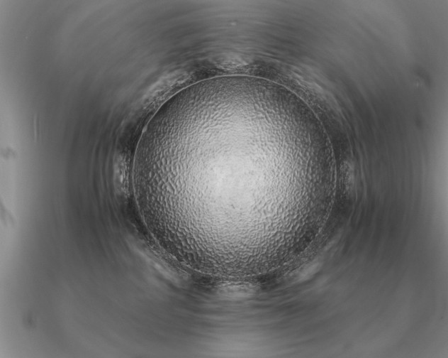 X0000091100234200708061426