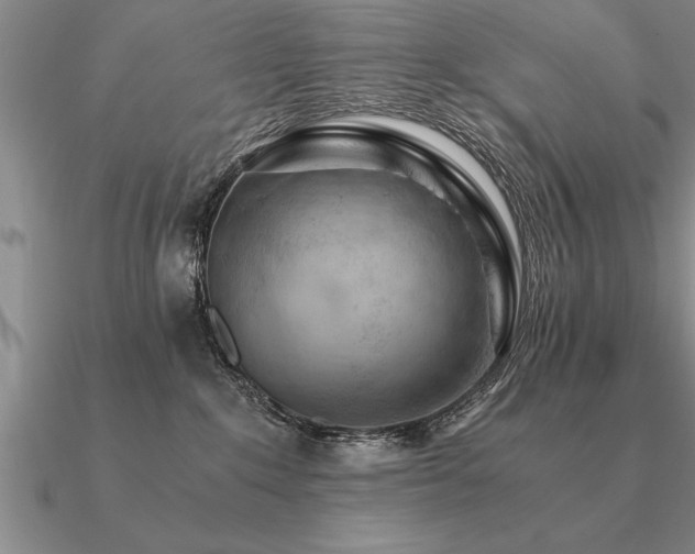 X0000091100235200708061426