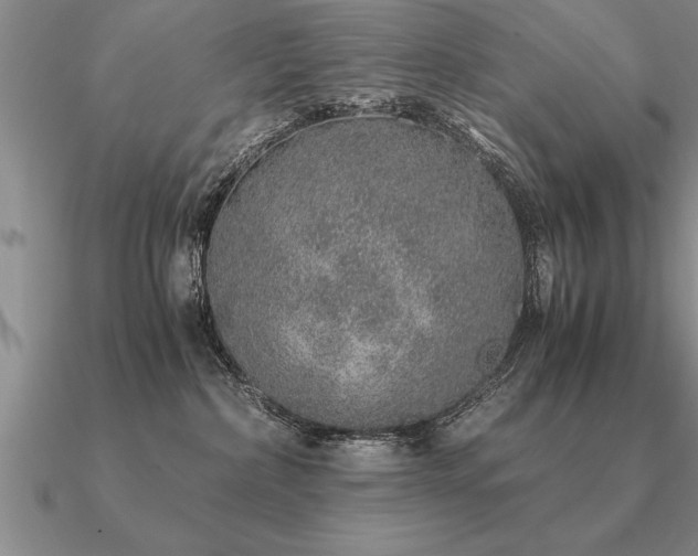 X0000091100236200708061426