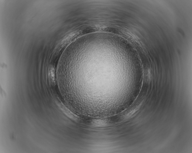 X0000091100238200708061426