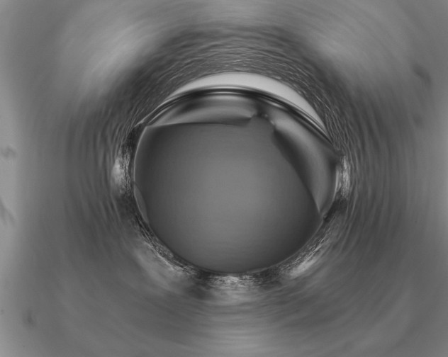 X0000091100239200708061426