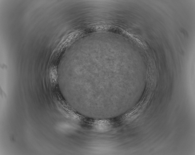 X0000091100240200708061426