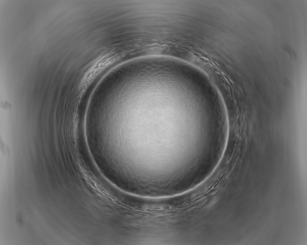 X0000091100242200708061425