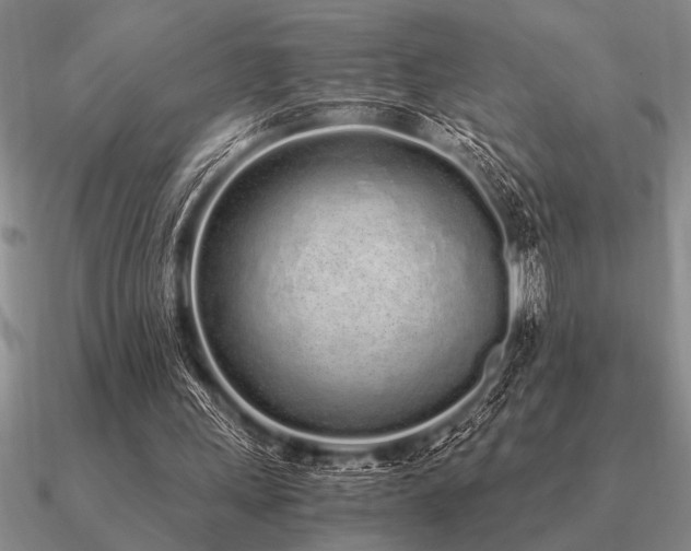 X0000091100243200708061425