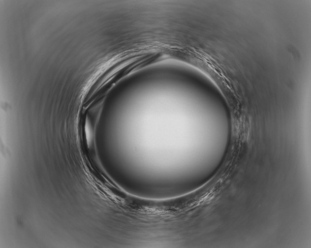 X0000091100244200708061425