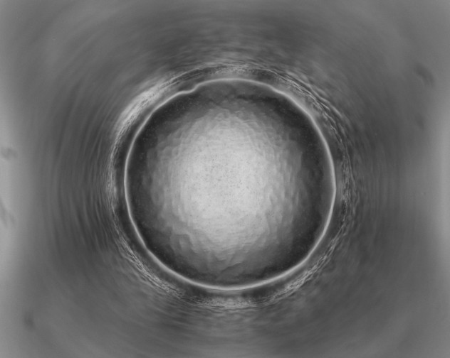 X0000091100245200708061425