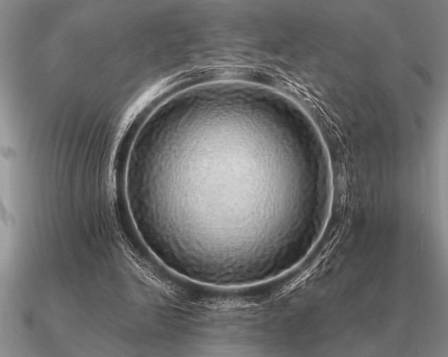 X0000091100246200708061425