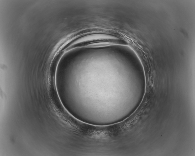 X0000091100247200708061425