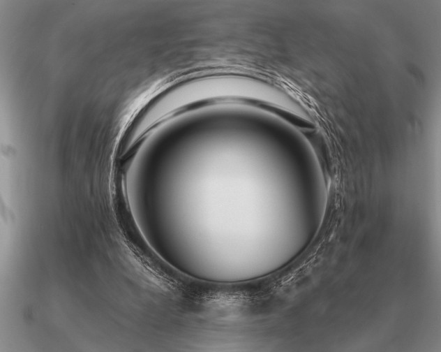 X0000091100248200708061425