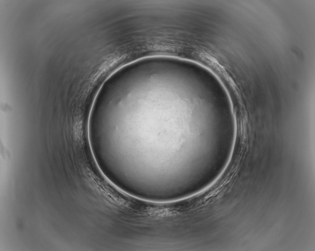 X0000091100249200708061425