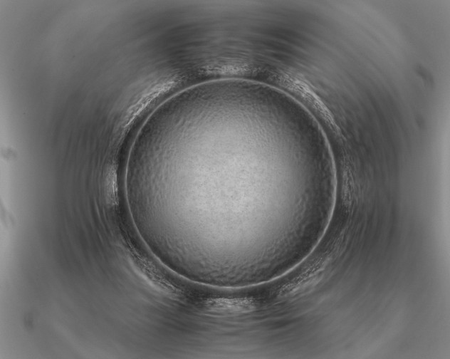 X0000091100251200708061425