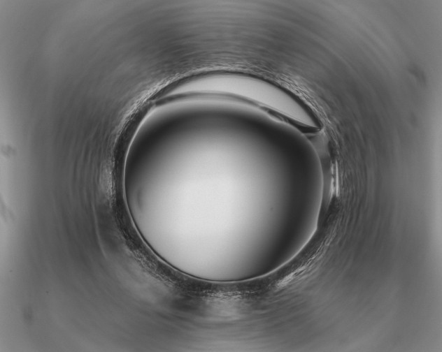 X0000091100252200708061425