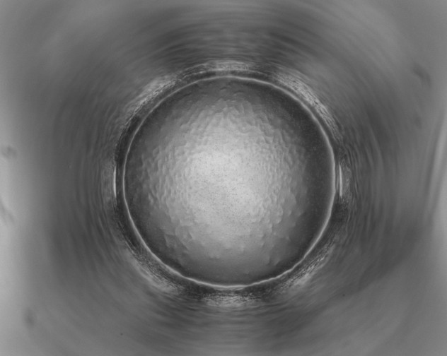 X0000091100253200708061425