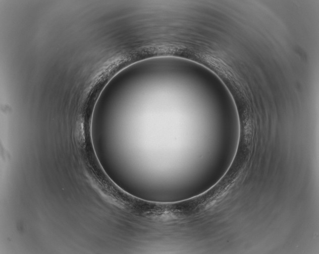 X0000091100254200708061425