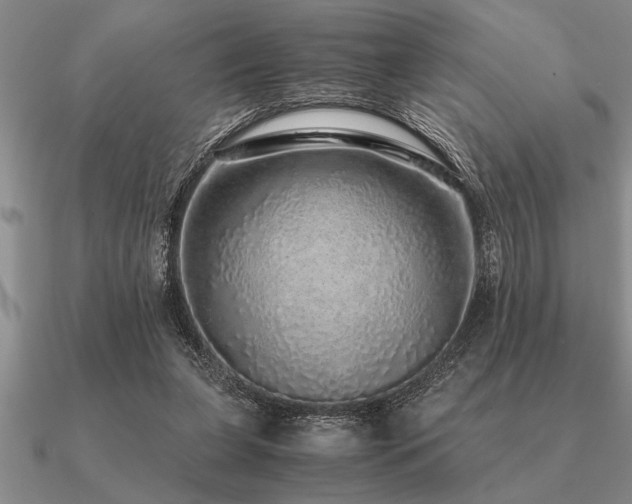 X0000091100255200708061425