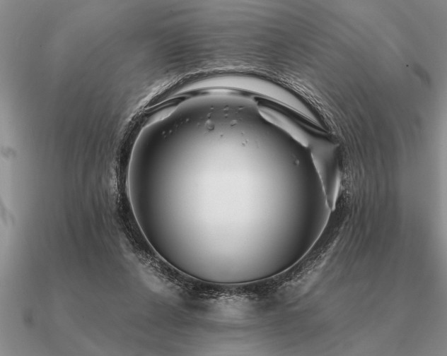 X0000091100256200708061426