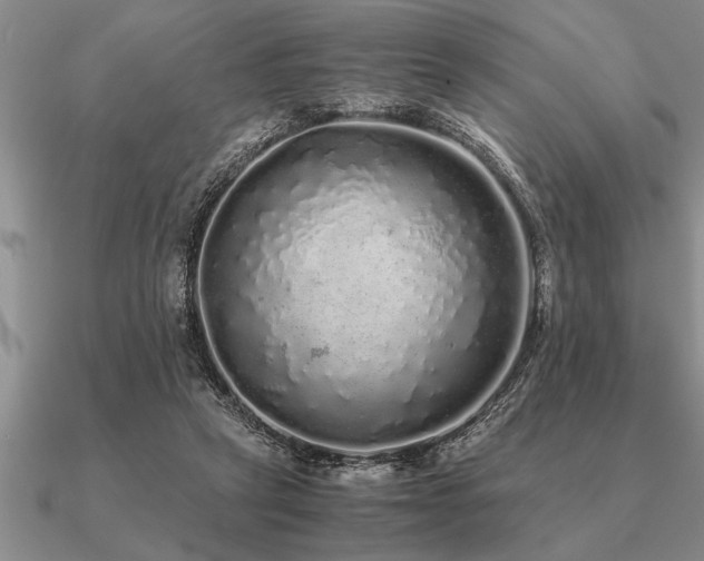 X0000091100257200708061426