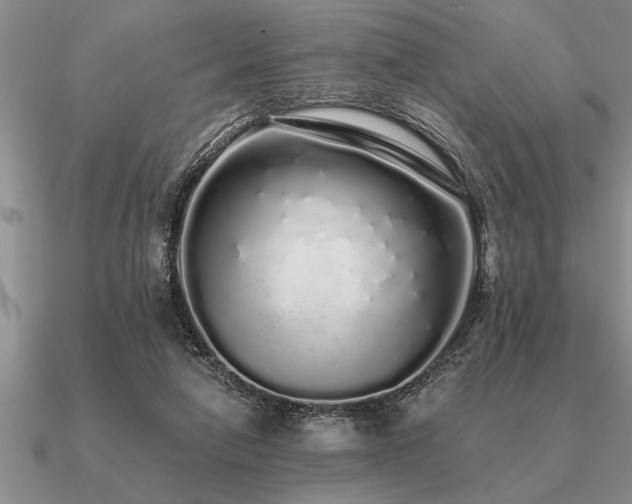 X0000091100258200708061426