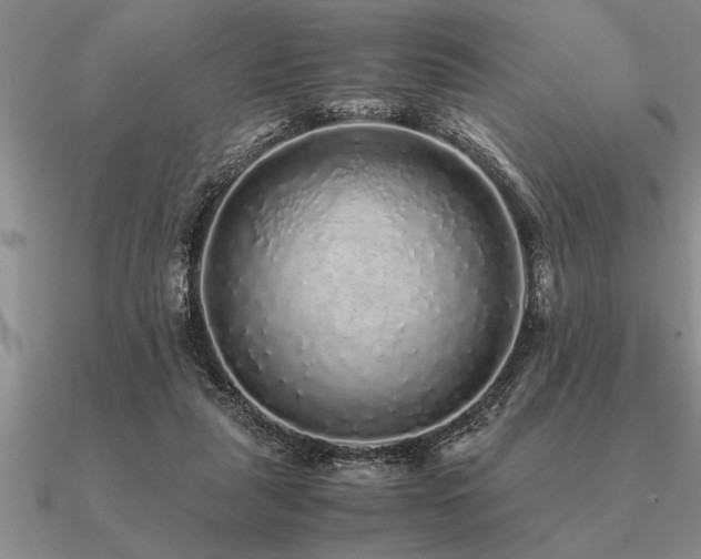 X0000091100259200708061426