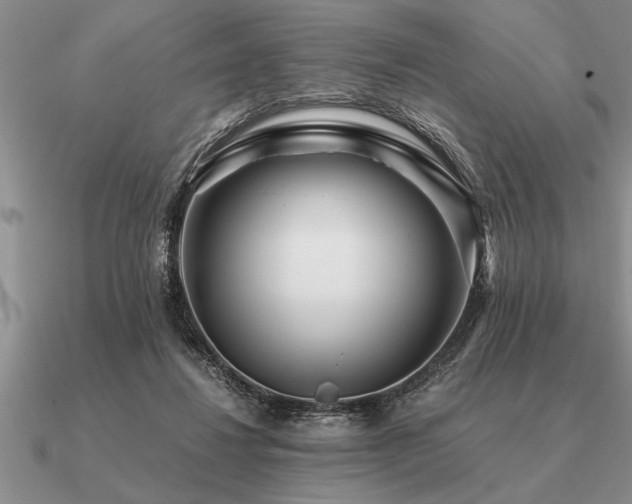 X0000091100260200708061426