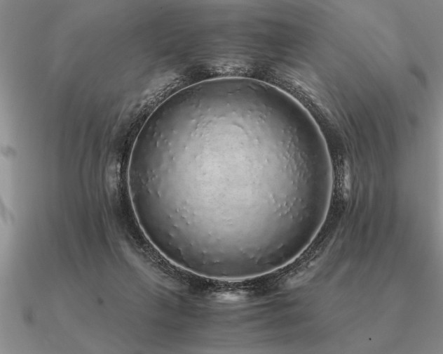 X0000091100263200708061426