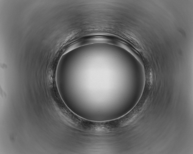 X0000091100264200708061426