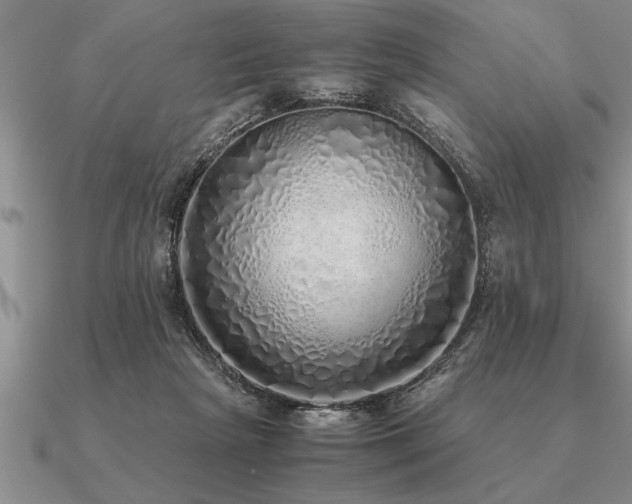 X0000091100265200708061426