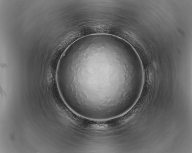 X0000091100266200708061426