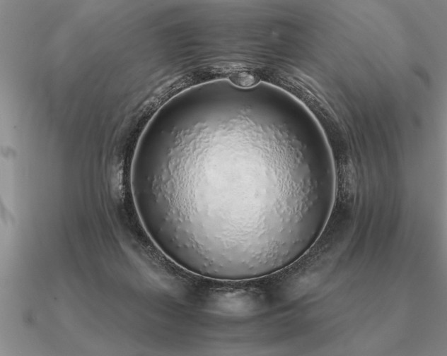 X0000091100267200708061426