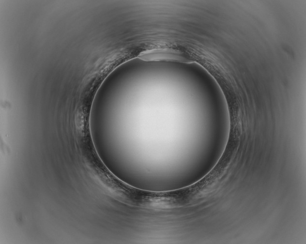 X0000091100268200708061426