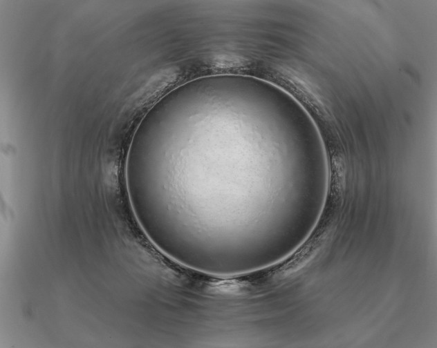 X0000091100269200708061426