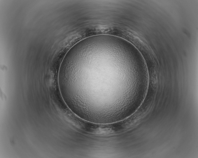 X0000091100270200708061426