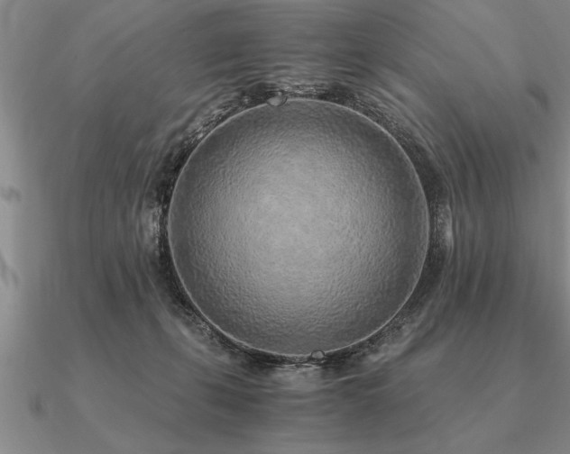 X0000091100271200708061426