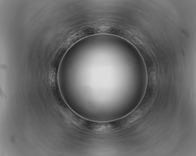 X0000091100274200708061426