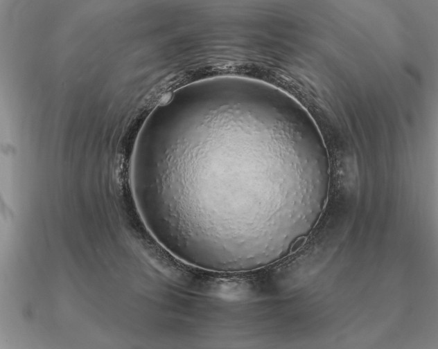 X0000091100275200708061426