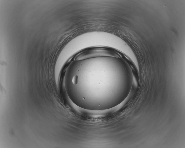 X0000091100276200708061426