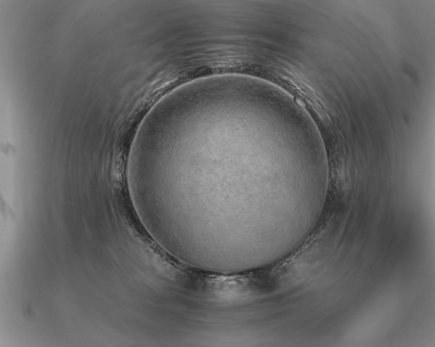 X0000091100277200708061426