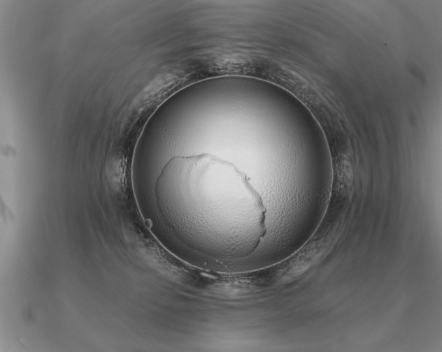 X0000091100278200708061426