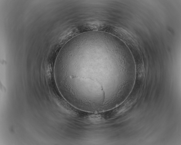 X0000091100279200708061426