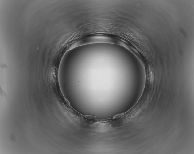 X0000091100280200708061426