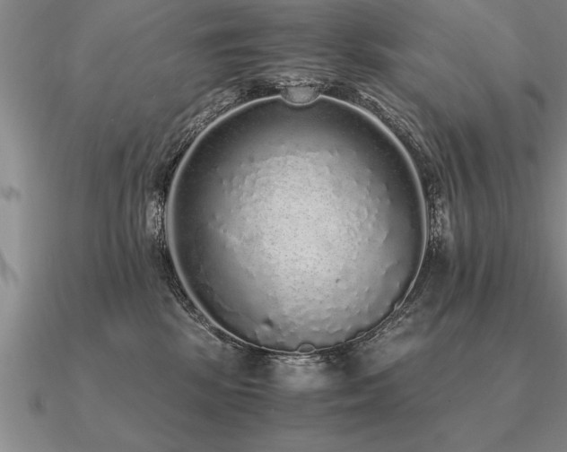 X0000091100281200708061426