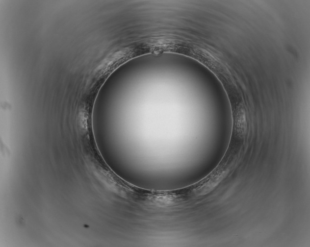 X0000091100282200708061426