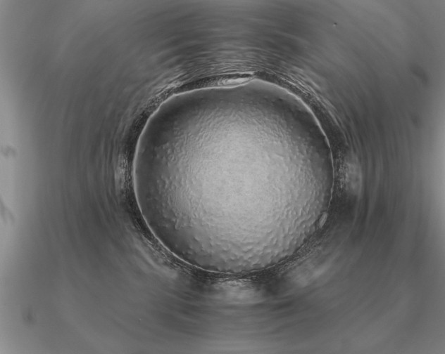 X0000091100283200708061426