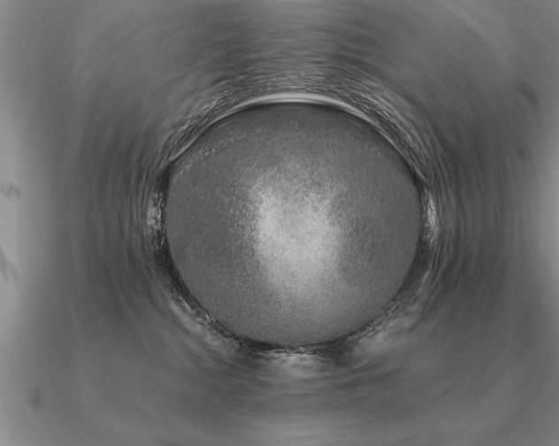 X0000091100284200708061426