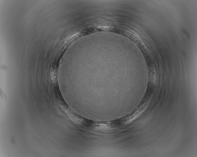 X0000091100285200708061426